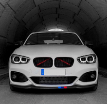 bmw kidney bars